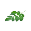 Herbs