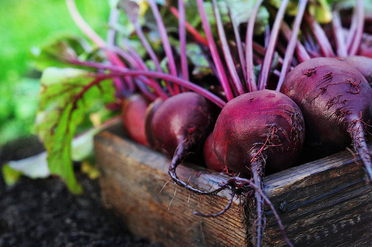 Senzu Health Beetroot Extract Capsules